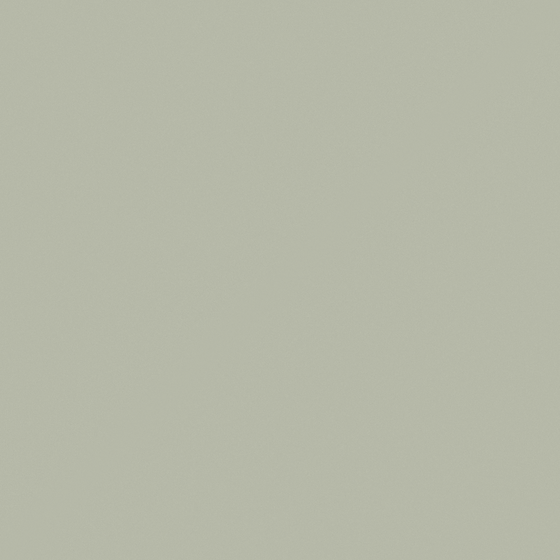 Wood Color MD-006 Cheese Mint Wall Paint 3D Model