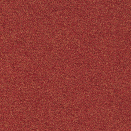felt map