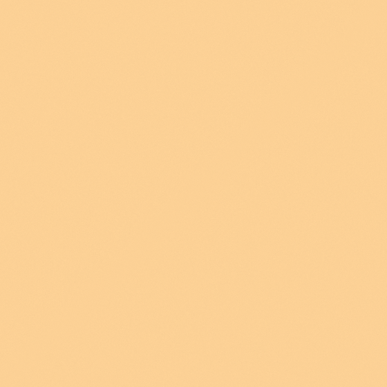 Wood Color Wall Paints 3D Model