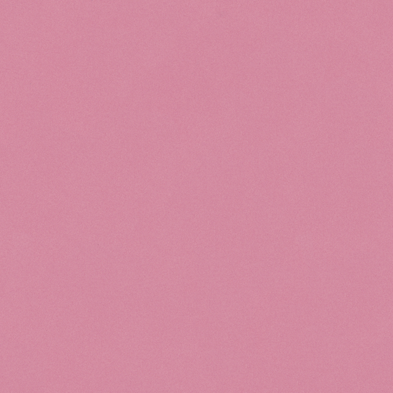 Chic Pink Crocodile Wall Paint 3D Model