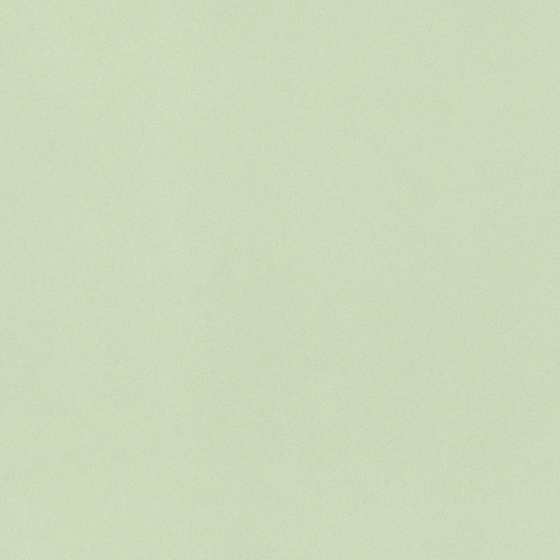 Crocodile-wall paint/paint