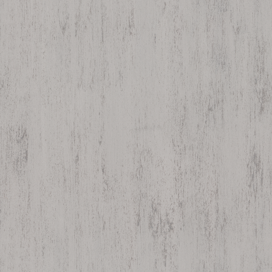 Gray Wall Paints/Coating 3D Model for Modern Spaces