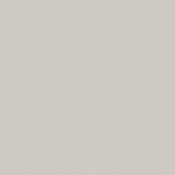 Time Two Plain Wallpaper 3D Model in Earth Color