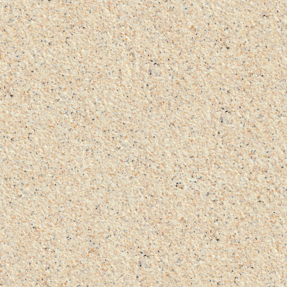 Wall Paints 3D Model in Earth Color