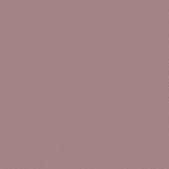 Natural Brown Baking Paint 3D Model for Interiors