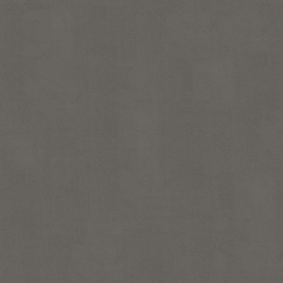 Gray Wall Paint for Contemporary Designs