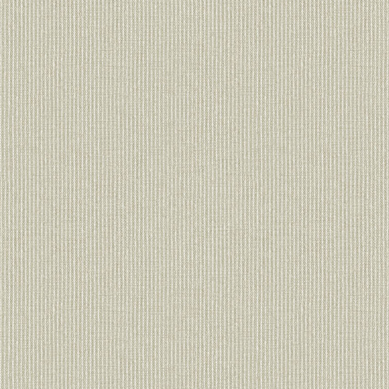 Transcend Seamless Wall Covering