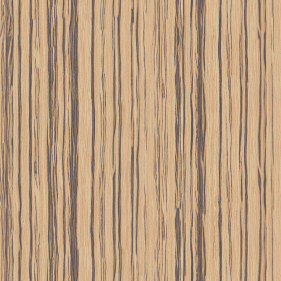 Wood Varnish Real-Time Material 3D Model in Brown