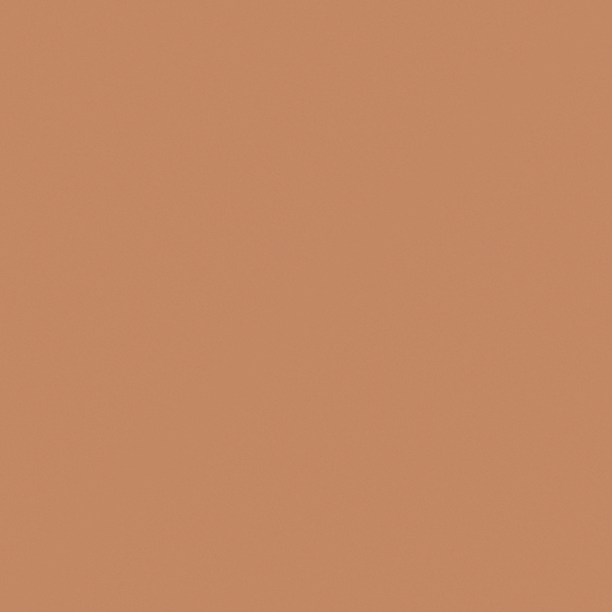 Brown Baibin Paint 3D Model for Walls