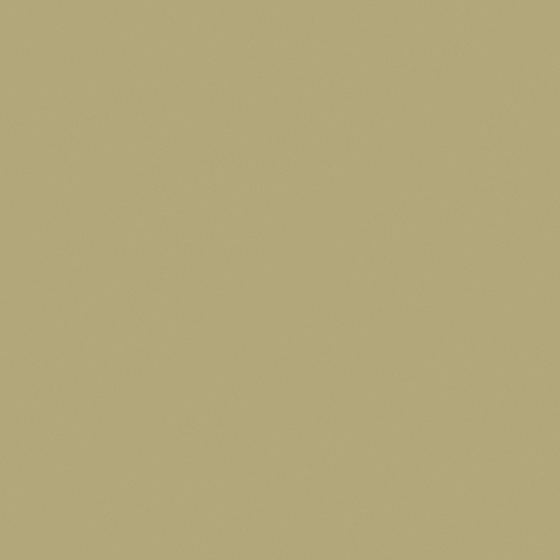 Rich Brown Wall Paint 3D Model by Baibin
