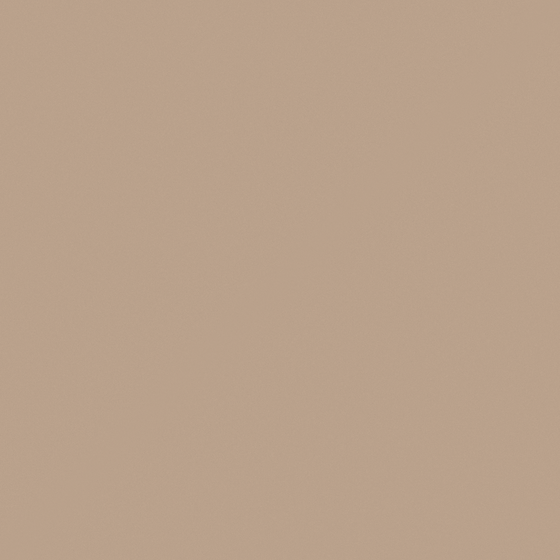 Baibin Paint 3D Model in Brown for Walls