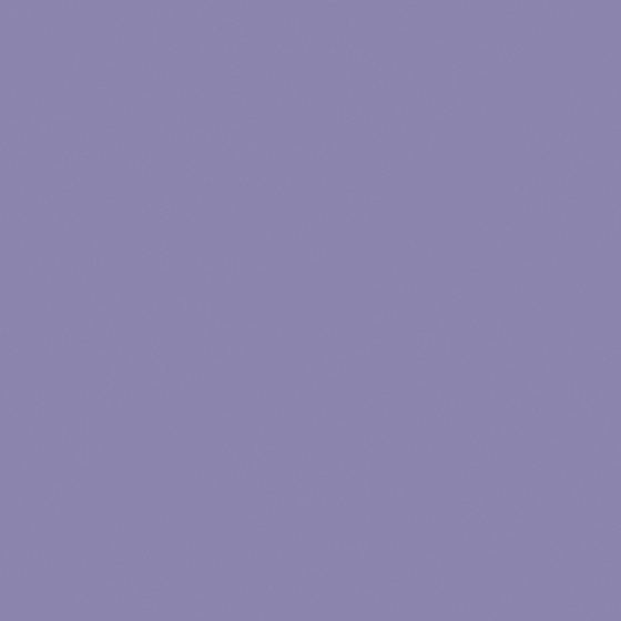 Baibin Purple Paint 3D Model