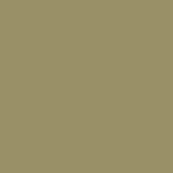 Brown Baibin Paint 3D Model