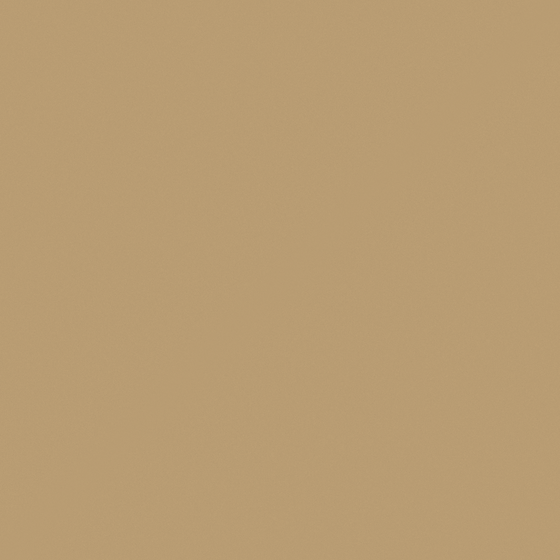 Baibin Paint in Brown for Walls