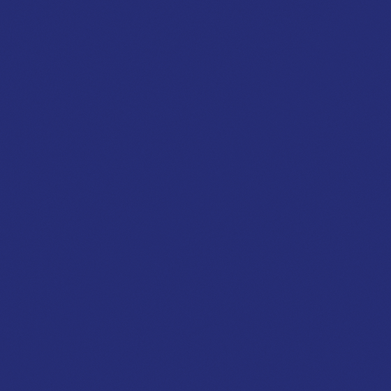 Blue Baibin Paint 3D Model