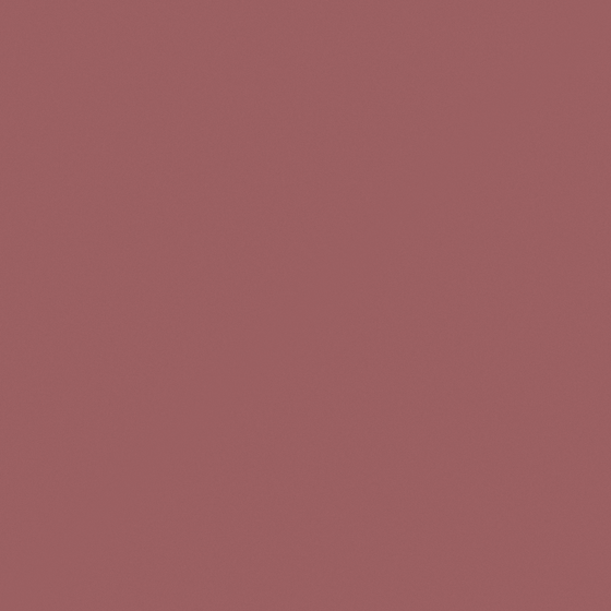 Baibin Paint 3D Model in Earth Color