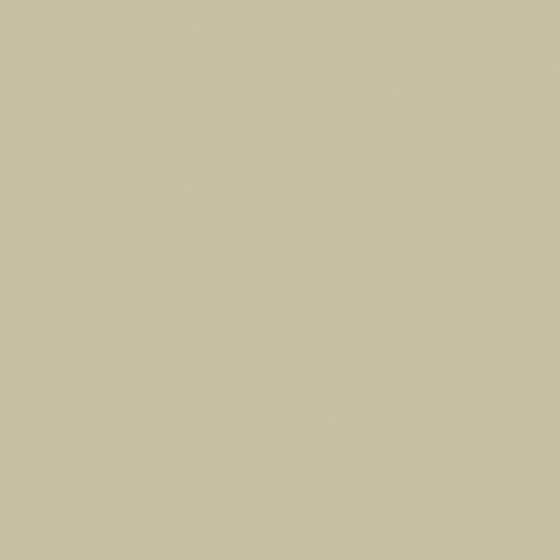 Baibin Paint 3D Model in Green for Walls