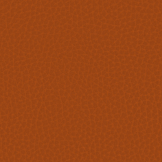 Real Time Material - Leather 3D Model in Earth Color