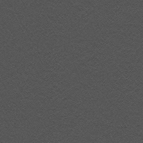 Real Time Material-Leather