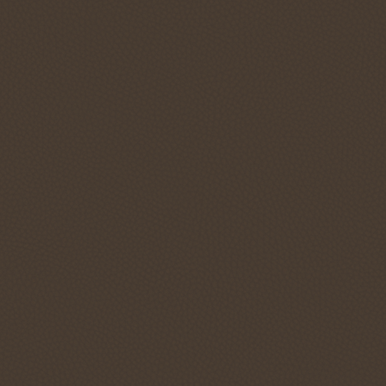 Real Time Material-Leather