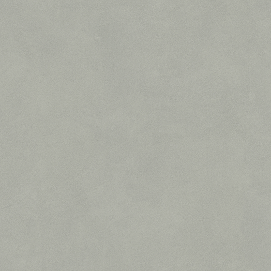Gray Micro-Cement 3D Model for Wall Finishes