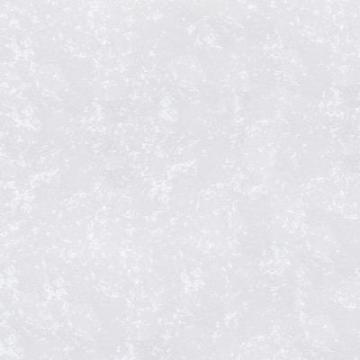 Wall Paints and Coatings in White for Bright Interiors