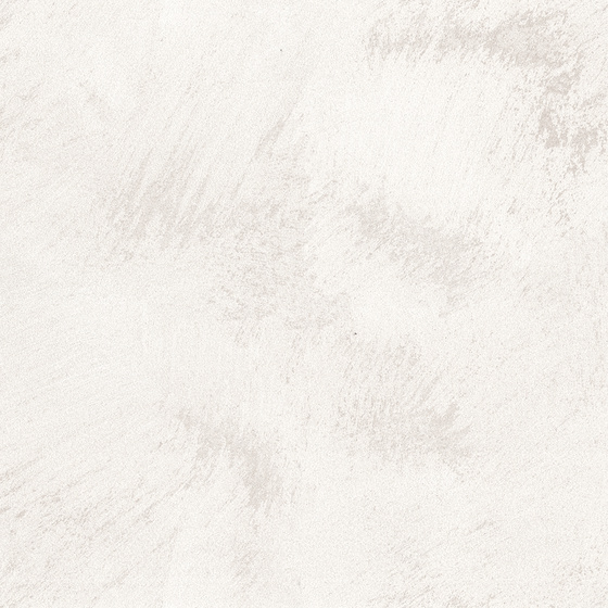 White Willow Art Coatings 3D Model for Wall Paint
