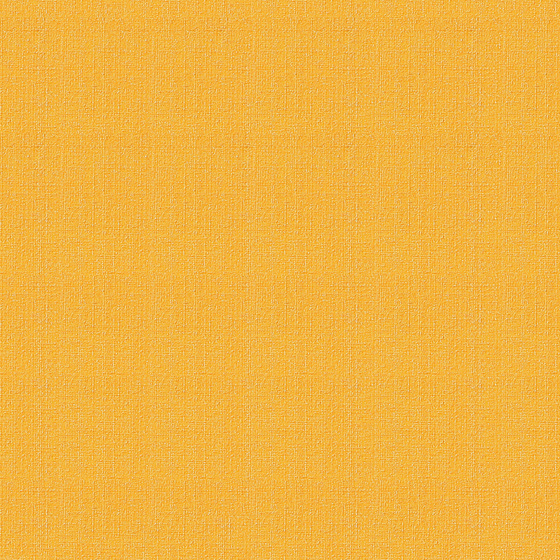 Desert Gold Sand Wall Paint