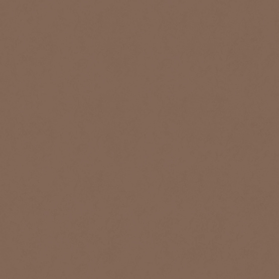 Brown Wall Paint Coating 3D Model