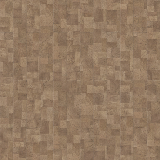Earthy Floor 3D Model