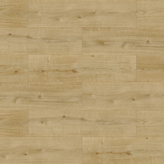 EGGER Wood Grain Décor 3D Model for Flooring