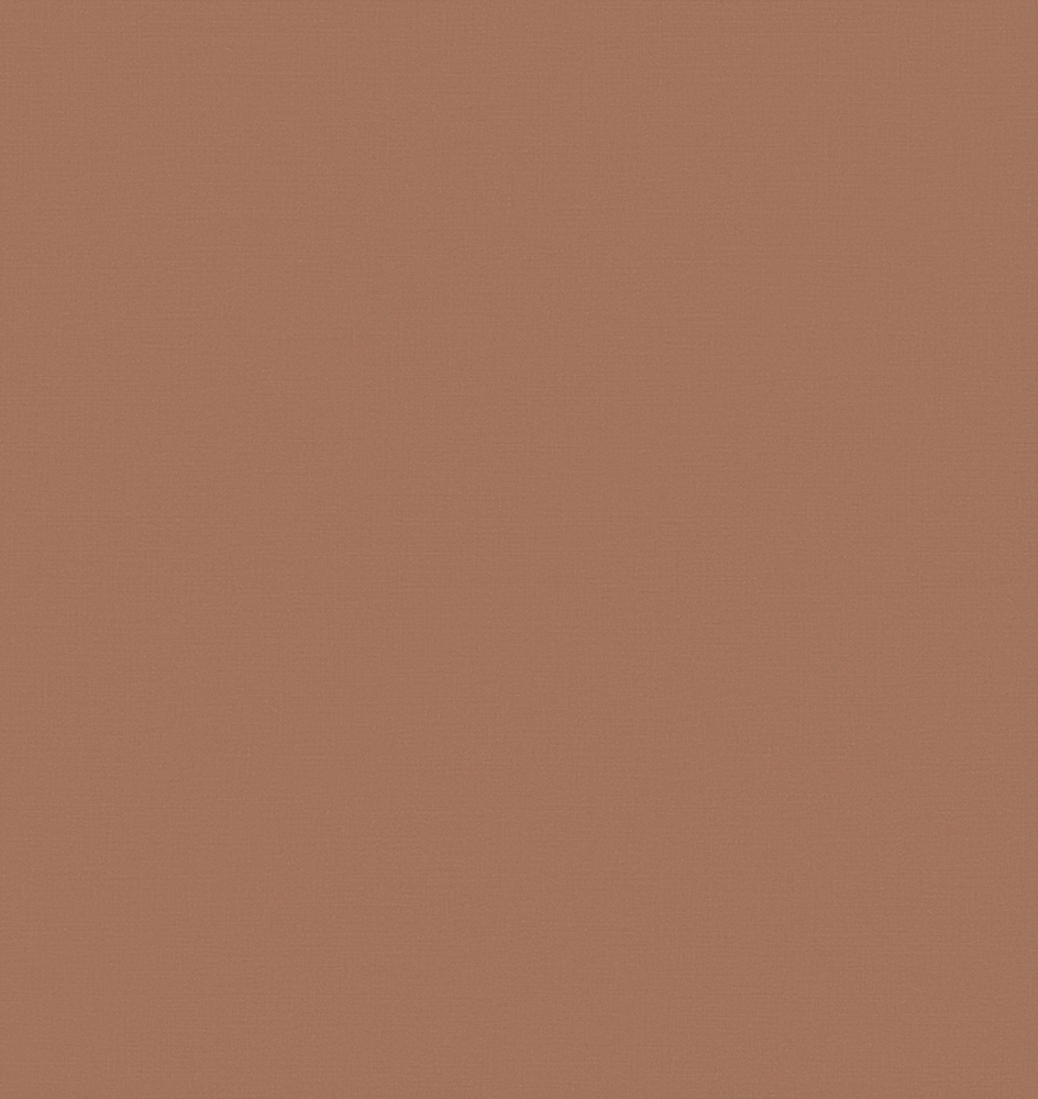 欧雅-法西诺-欧雅109-EWCCN11483D模型