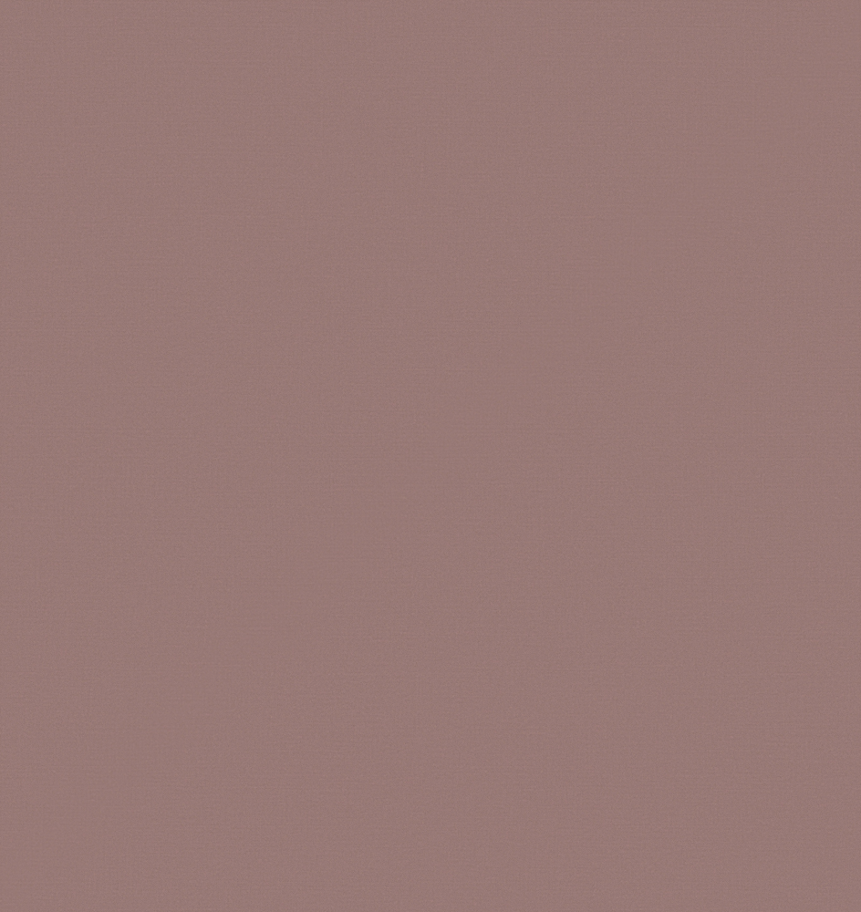 欧雅-法西诺-欧雅109-EWCCN11503D模型