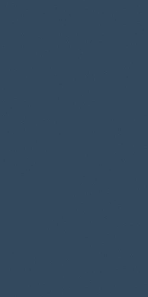 Vandy Blue E0-9511 Wood Panel 3D Model in Black