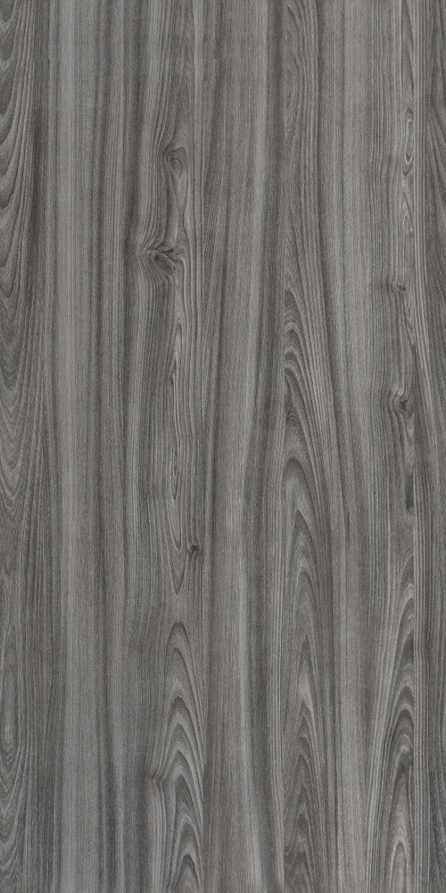 E0-9549 Rhode Island Oak 3D Model in Gray