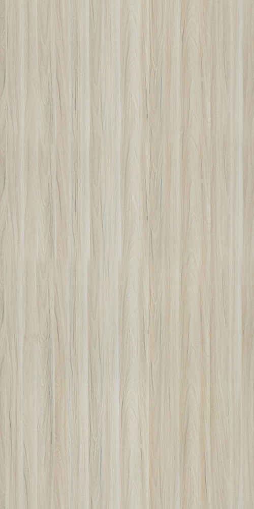 White Rhine Maple Wood Panel 3D Model