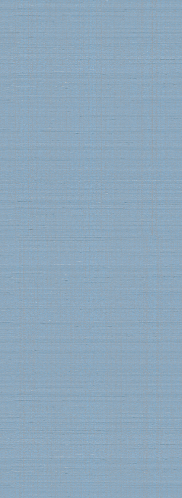Blue EUROART Wallpaper 3D Model
