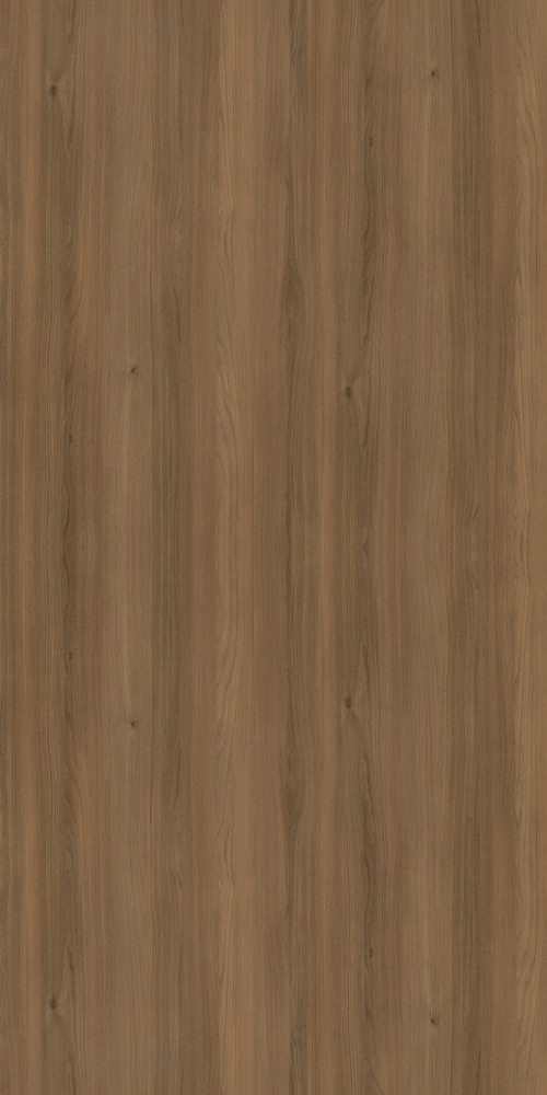 Atlas Cedar Semi Open Paint 3D Model in Earth Color