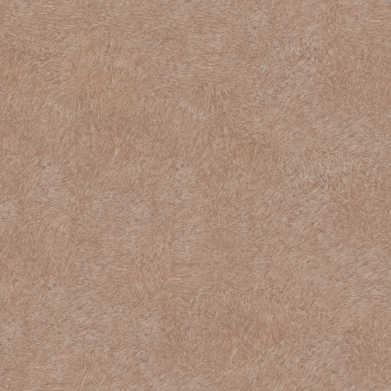 Brown Wall Paint Coating 3D Model for Cozy Interiors