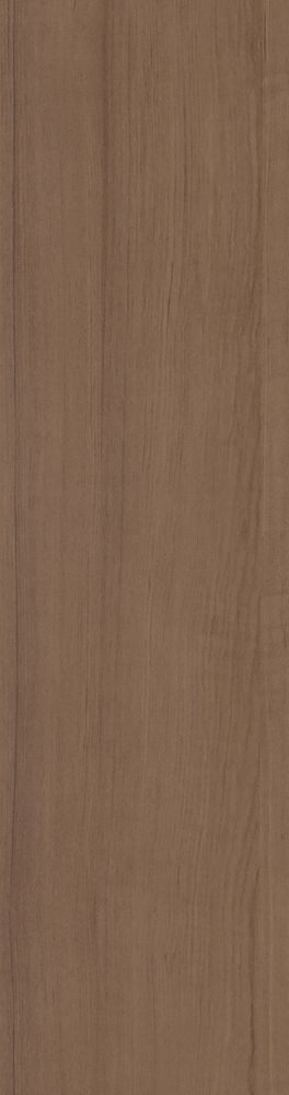 M008Y Coconut Palm Wood 3D Model in Earth Color