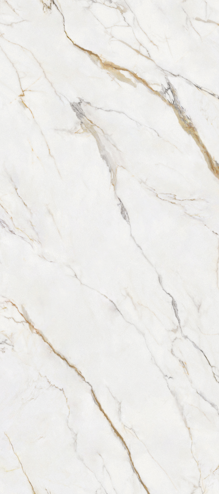 Gray Chameleon Stone Pattern Wallboard 3D Model