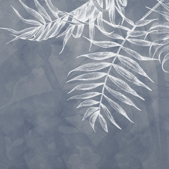 Yixuan Mural Taobao Store - Gray Background White Pen Coconut Tropical Plant Leaves