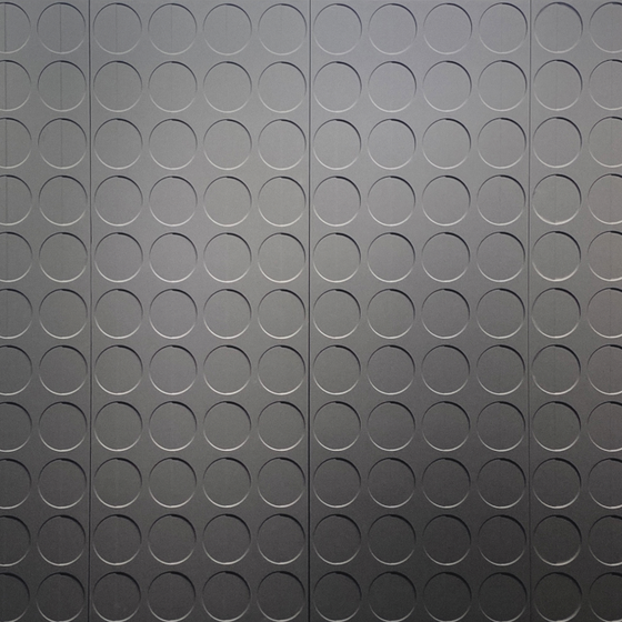 Beetle Relief Craft Hard Package E9110 Background Wall 3D Model in Gray
