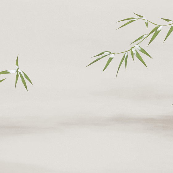 Beetle Mural Bamboo Rhyme Wallpaper 3D Model in Green