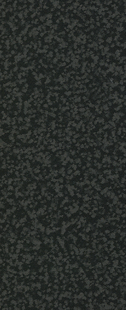 Black Diatomite 3D Model for Versatile Applications