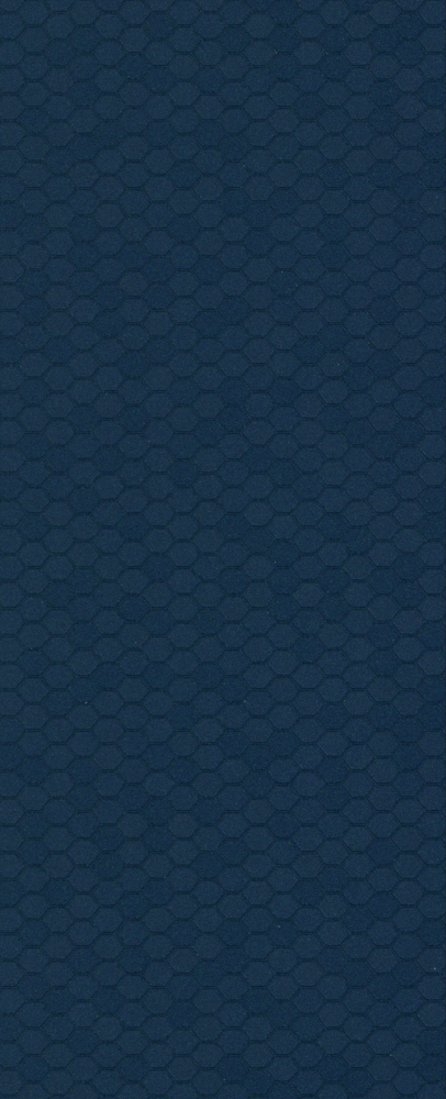 Honeycomb Grid Meilan 3D Model in Blue