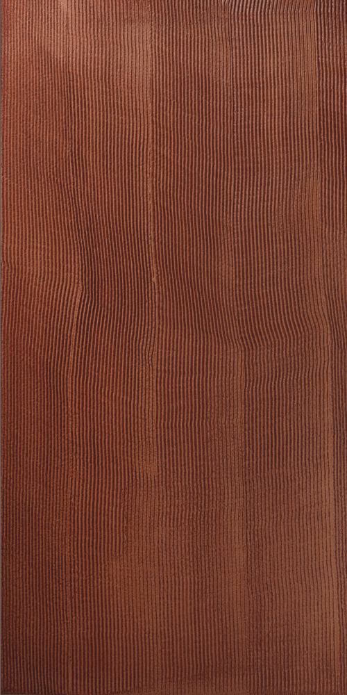 Carpoly National Geographic Wall Paint 3D Model in Brown