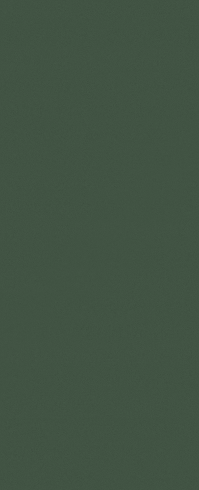 CKB066 Dark Green 3D Model in Green
