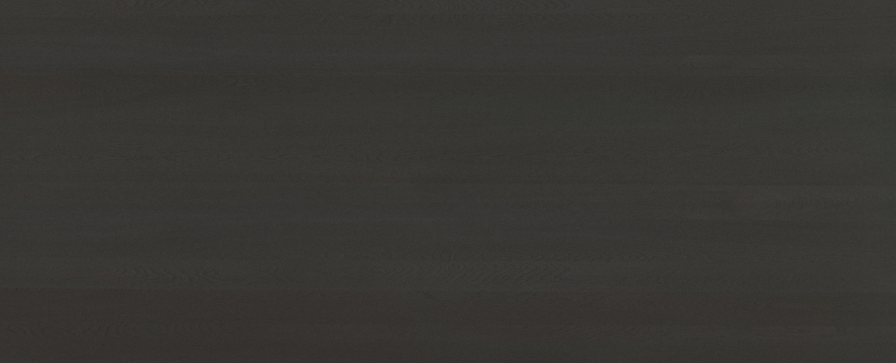 Emerald Elm Horizontal Wall Paint 3D Model in Black