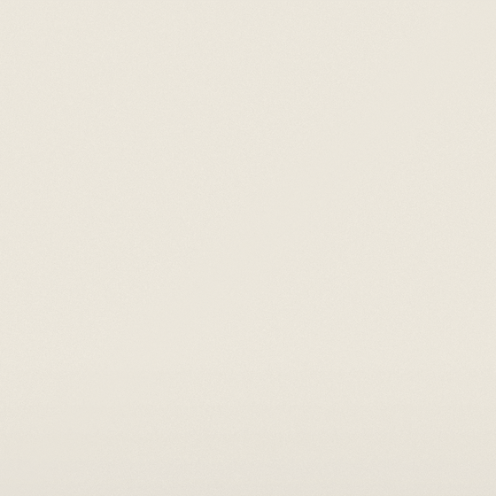 Nippon Hush White Wall Paint